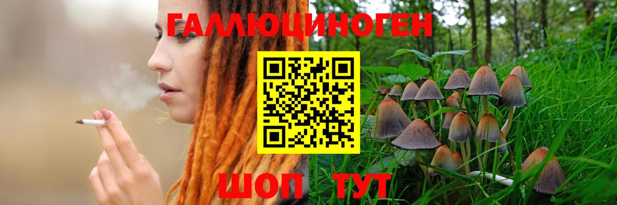 Галлюциногенные грибы Cubensis Кудымкар